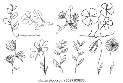 Hand Drawing line art of leaves and flower, Vector illustration