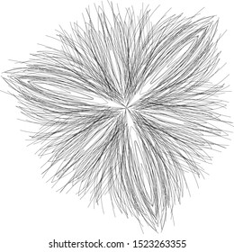 hand drawing line floral vector illustratioin 