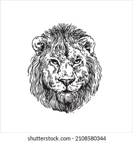 Hand drawing lion head. Vector isolated illustration in black and white colors. Zodiac sign Leo. 