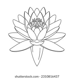 Handzeichnung Lotus Blume. Skizze für Lotus-Linien, einzeln auf weißem Hintergrund. Lotus bud, Line Art stilisiert. Wasserteich-Lilie, florale Vektorgrafik