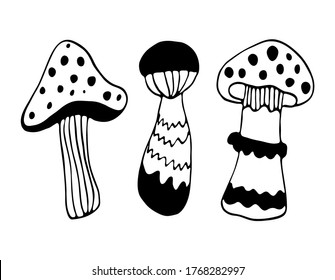 Hand drawing mushroom doodles set. Vector black outline food illustration.