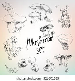 Hand drawing mushroom set, fresh and healthy food