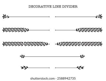 Hand - drawing nature floral vine line divider for text layout separator decoration element collection.Vector illustration