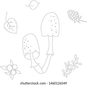Hand drawing on the theme of autumn. The contours of the fungus, berries and leaves.