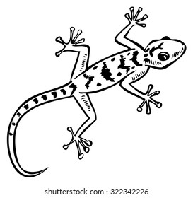 hand drawing on a white background gecko lizard