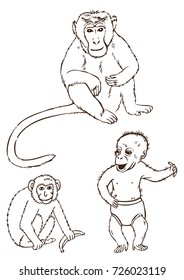 hand drawing on white background, three different monkeys with banana