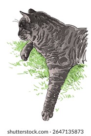Hand drawing of one domestic cat lying and sleeping  on grass outdoors, realistic vector illustration isolated on white background