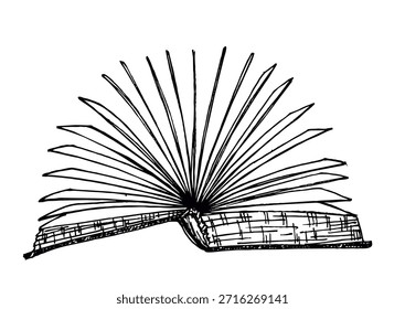 Dibujo a mano de libro abierto con páginas voladoras. Bosquejo de libro abierto sobre fondo blanco. Suministros de educación de Ilustración vectorial de regreso al tema de la escuela. Ilustración vectorial de Educación.