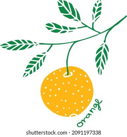 Hand drawing orange illustration sketch