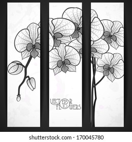 Hand Drawing Orchid Flower. Vector Illustration. Eps 10.