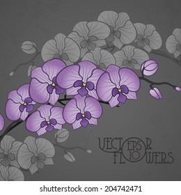 Hand Drawing Orchid Flower. Vector Illustration. Eps 10