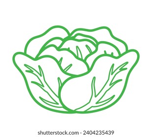 Hand Drawing outline green cabbage leaf vector, Fresh Vegetable with green leaves doodle animated cartoon for Food Ingredient isolated on white background