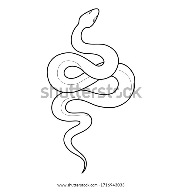 Hand Drawing Outline Snake Tattoo Snake Stock Vector Royalty Free