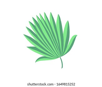 hand drawing of palm leaf isolated on white, vector illustration