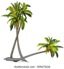 Hand drawing.Two palm trees, branches of palm trees made of gradient.