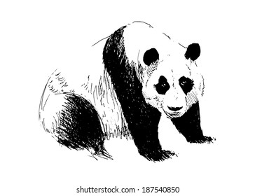 Hand drawing panda. Vector illustration