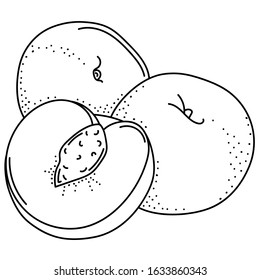 Hand drawing peaches; doodle fruits for stickers, posters, web design. Black and white vector illustration.