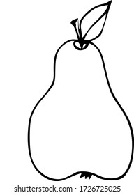 Hand drawing of pear vector illustration fruit art outline linear vitamin graphic doodle healthy creative