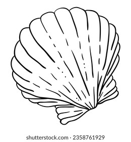 hand drawing of pearl seashell vector.
Suitable for jewelry icon, sign or symbol.
