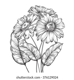 1,804 Daisy pen ink drawing Images, Stock Photos & Vectors | Shutterstock