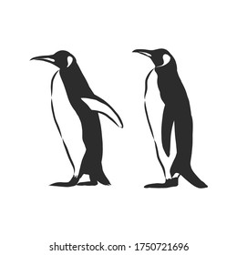 Hand drawing penguins. Vector illustration, penguin, vector sketch illustration