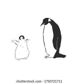 Pingüinos dibujantes a mano. Ilustración vectorial, pingüino, ilustración de esbozo vectorial