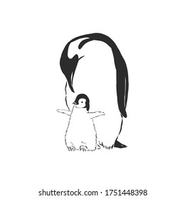 Pingüinos dibujantes a mano. Ilustración vectorial, pingüino, ilustración de esbozo vectorial