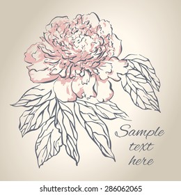 Hand drawing peony flower. Vector illustration