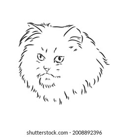 Dibujo manual vector gato persa versión vector gato persa