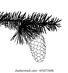 Hand drawing pine cone on the tree. Pinecone drawing on fir branch with needles.  Decoration for greeting cards or holiday background. Realistic illustration.