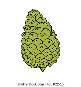 Hand drawing pine cone. Pinecone drawing.  Decoration for greeting cards or holiday background. Highly detailed classic, ink art in engraved style, Spruce. Color realistic illustration.
