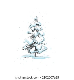 Hand drawing pine. Spruce tree sketch. Vector illustration