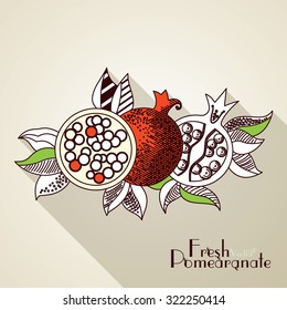 Hand drawing pomegranate