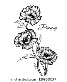 Hand drawing Poppy, Carnation flowers. Vector, illustration and clip art on white backgrounds.Idea for business visit card, typography vector,print for t-shirt.