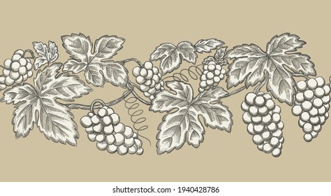 Impresión de dibujo manual con marco de gráfico. Borde inmaculado. Ilustración vectorial.