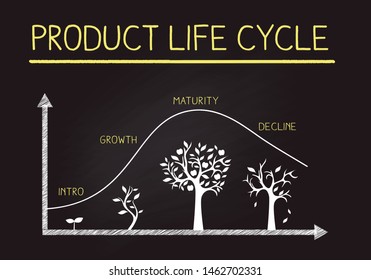 Hand Drawing product life cycle image on blackboard,business,flamework