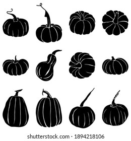 Hand drawing pumpkins set. Vector illustration, line graphics. Linear art. Silhouettes of pumpkins. Autumn decor