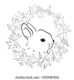 Hand drawing of rabbit, vector illustration 