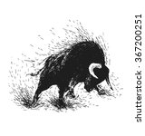 Hand drawing of a raging bull