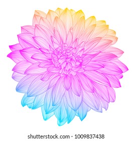 hand drawing rainbow flower, vector illustration