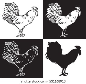 hand drawing a rooster on a black and white background and silhouette