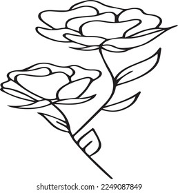 dibujo a mano rosa blanco y negro