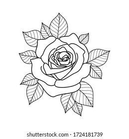 Hand Drawing Rose Flower Greeting Card Stock Vector (Royalty Free ...