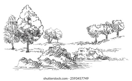 Hand drawing rural landscape field and trees. Monochrome sketch. Vector illustration isolated on white background. Design element. For prints, design, cards and decorations.