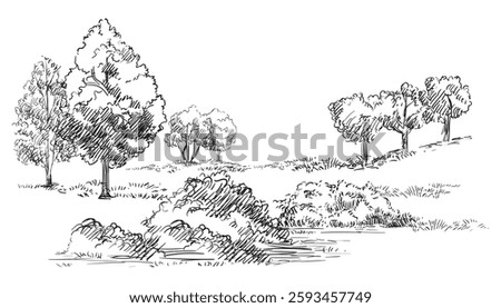 Hand drawing rural landscape field and trees. Monochrome sketch. Vector illustration isolated on white background. Design element. For prints, design, cards and decorations.