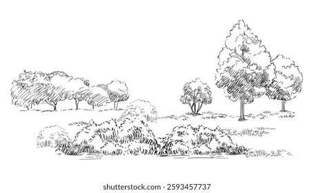 Hand drawing rural landscape meadow and trees. Monochrome sketch. Vector illustration isolated on white background. Design element. For prints, design, cards and decorations.