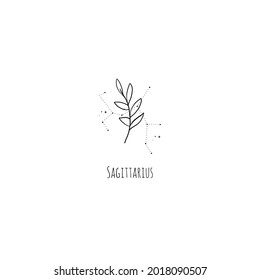 Hand drawing Sagittarius constellation symbol with floral branch and stars. Modern minimalist mystical astrology aesthetic illustration with zodiac signs