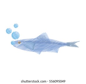 hand drawing sardine food sealife bubbles vector illustration eps 10