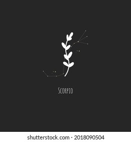 Hand drawing Scorpio constellation symbol with floral branch and stars. Modern minimalist mystical astrology aesthetic illustration with zodiac signs