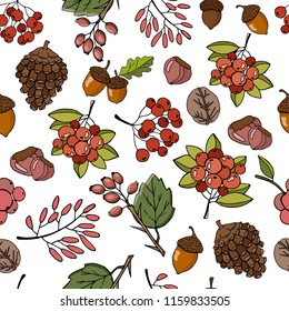 Hand drawing seamless pattern in autumn colors, with berries, autumn leaves, nuts and pine cones and acorns, vector illustration